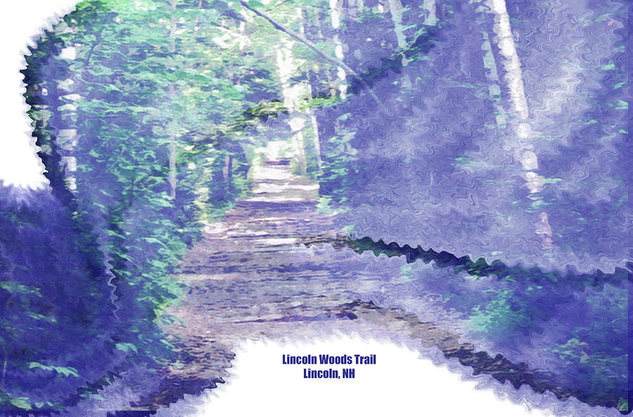 Lincoln Woods Trail Digital Art by Marie Jamieson