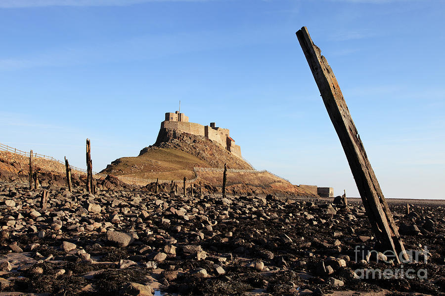 Lindisfarne castle - Holy Island Photograph by Bryan Attewell