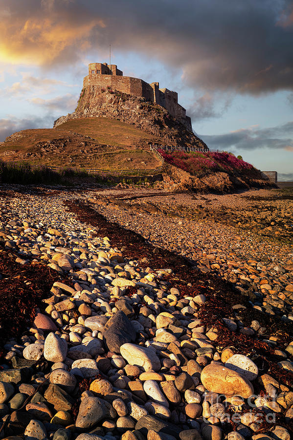 Lindisfarne Castle, Holy Island, Northumberland, England Photograph by Neale And Judith Clark