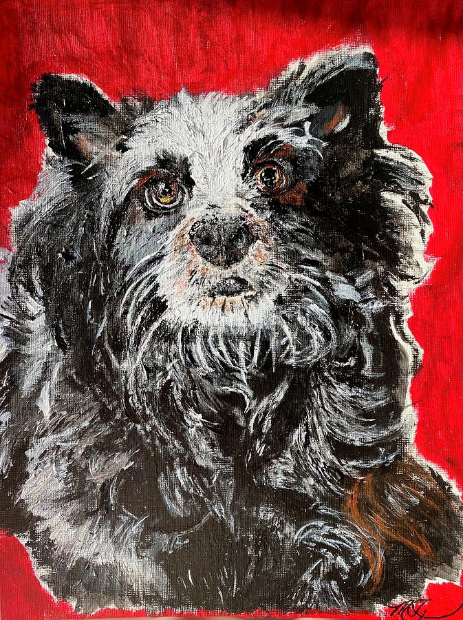 Blue Heeler McNabb Sheppard  Painting by Melody Fowler