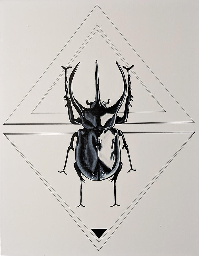 rhino beetle drawing