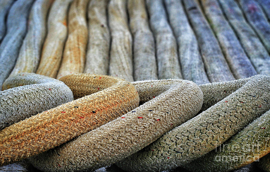 Derek Rees Line Photograph by Derek Rees - Fine Art America