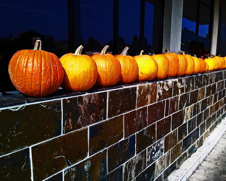 Line of Pumpkins  Photograph by Andrew Lawrence