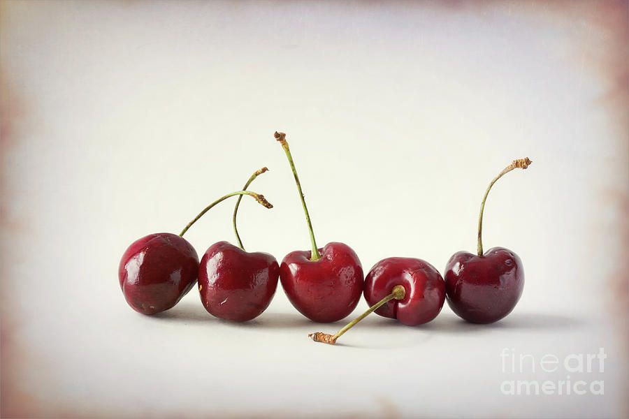 Line Of Red Cherries Photograph