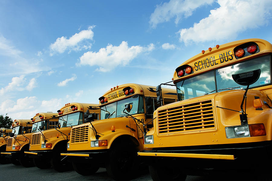 Line of school buses Photograph by Billnoll