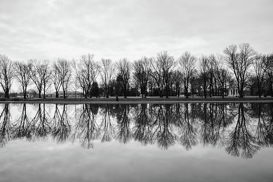 Line of Trees reflecting in the water Photograph by Dennis Diatel ...