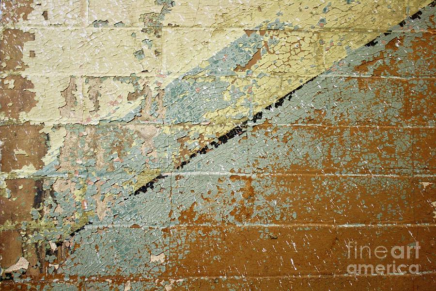 Line on a Wall Photograph by Flavia Westerwelle