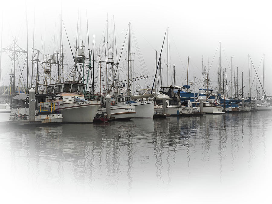 Line Up of Boats in a Marina Photograph by James C Richardson