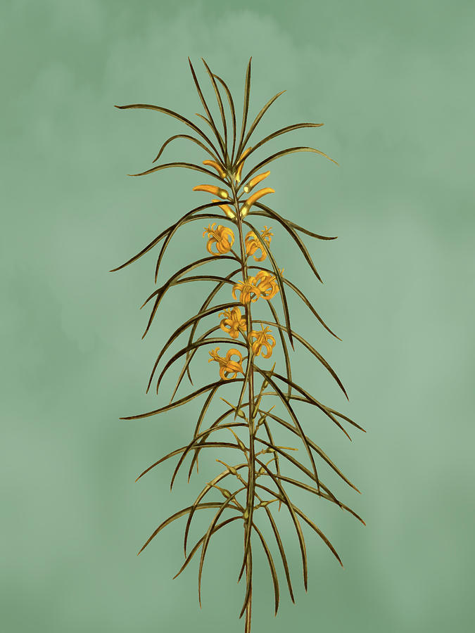 Linear leaved persoonia flower on Misty Green With Dry Brush Effect Mixed Media by Movie Poster Prints