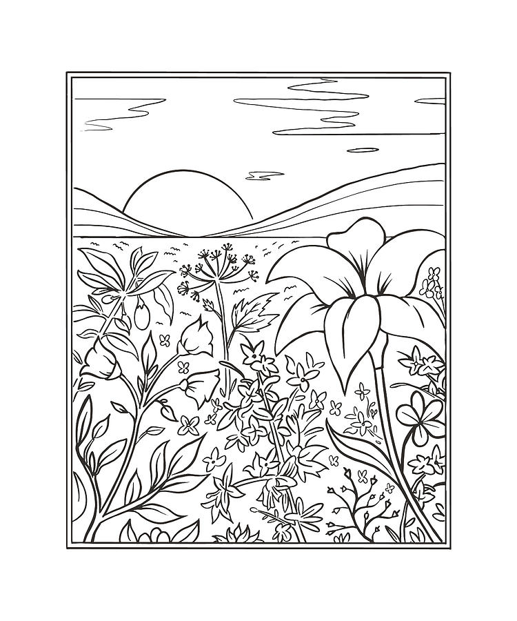 Nature Drawing PNG Transparent Images Free Download | Vector Files | Pngtree-saigonsouth.com.vn