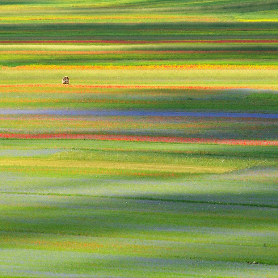 Lines and Colours Photograph by Edoardogobattoni.net