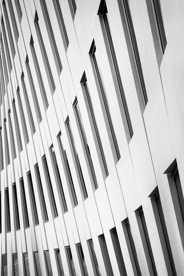 Lines and Curves Photograph by Elvira Peretsman