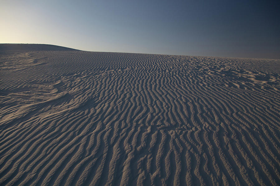 Lines in the dunes at White Sands National Park in New Mexico Photograph by Eldon McGraw
