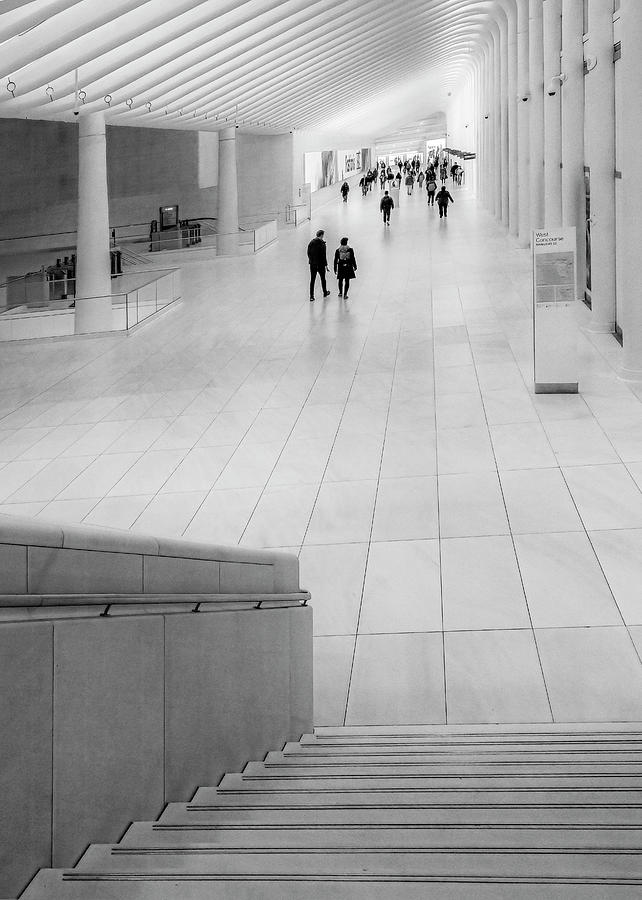 Lines, Light, and Shadows of the Oculus, New York  Photograph by Marcy Wielfaert