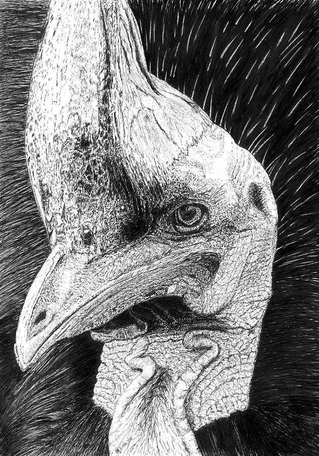 Lines of Wisdom Drawing by T Brendecke Fine Art America