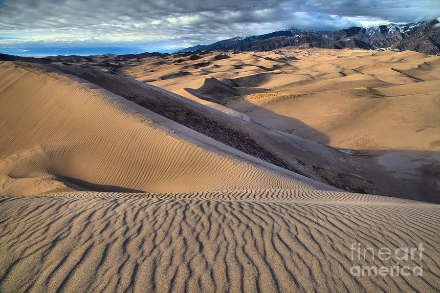 Lines On The Colorado Sand Dune Ridge Photograph by Adam Jewell