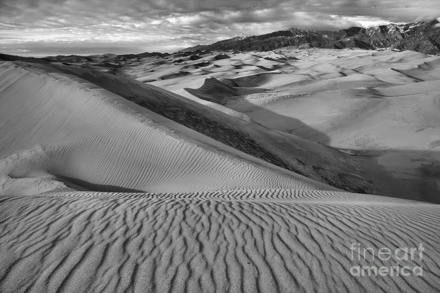 Lines On The Colorado Sand Dune Ridge Black And White Photograph by Adam Jewell