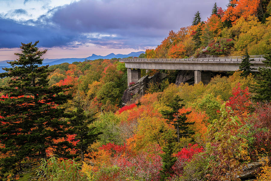 Fall Photograph - Linn Cove Viaduct by Mark Papke