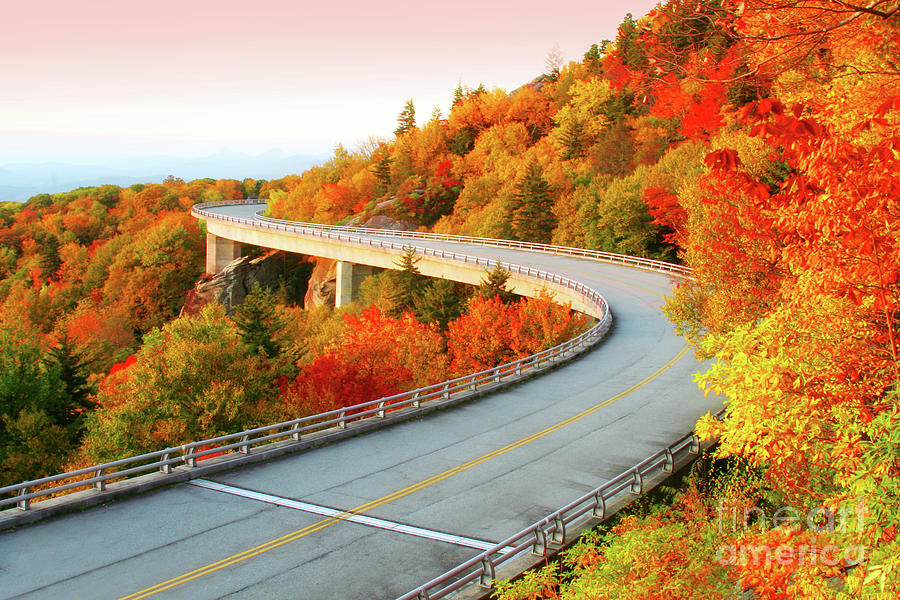 Linn Cove Viaduct Photograph by Michael Kaal - Fine Art America