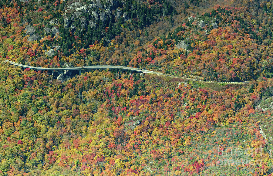 Linn Cove Viaduct on the Blue Ridge Parkway at the Base of Grandfather Mountain Photograph by David Oppenheimer