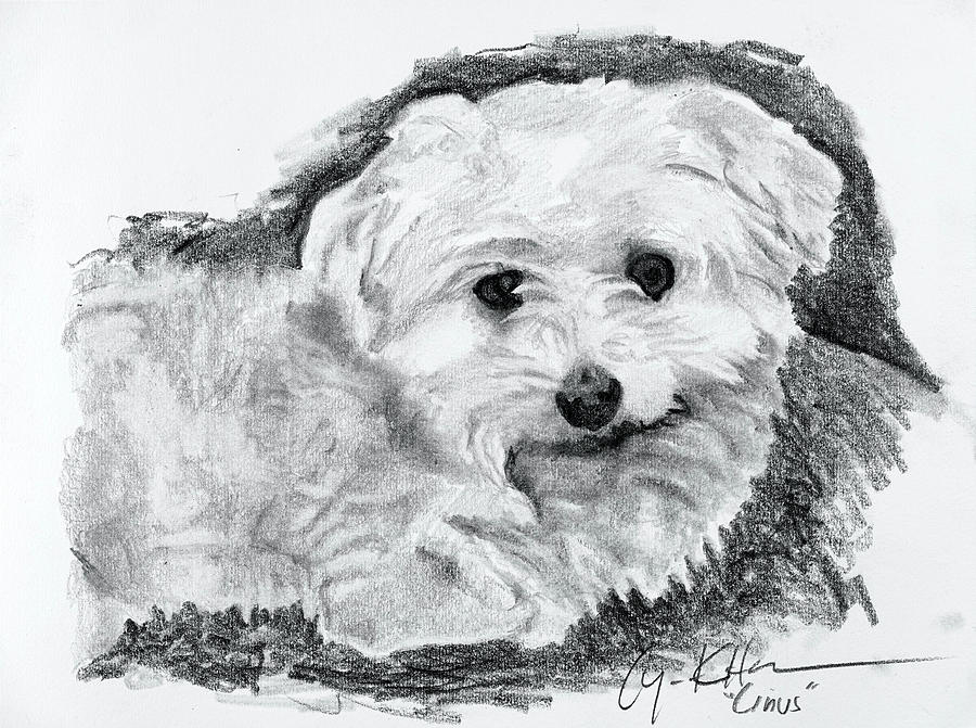 Linus, Beloved Pet Drawing by Lynn Hansen