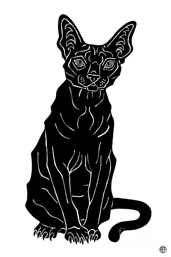 Linus. Black Cat Ink  Drawing by Amy E Fraser