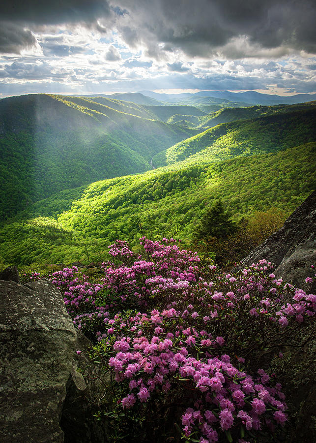 Linville Gorge NC - The Vastness Of Spring Photograph by Robert Stephens