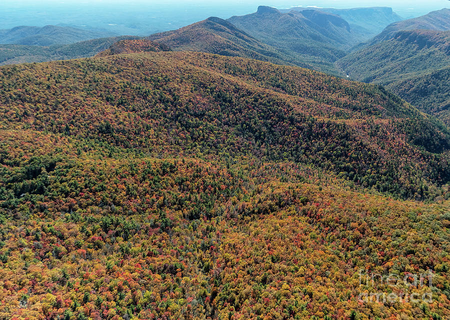 Linville Gorge Wilderness and Brushy Ridge with Peak Autumn Colo Photograph by David Oppenheimer