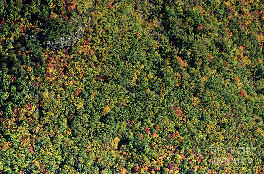 Linville Gorge Wilderness Vertical Aerial View of Autumn Colors Photograph by David Oppenheimer