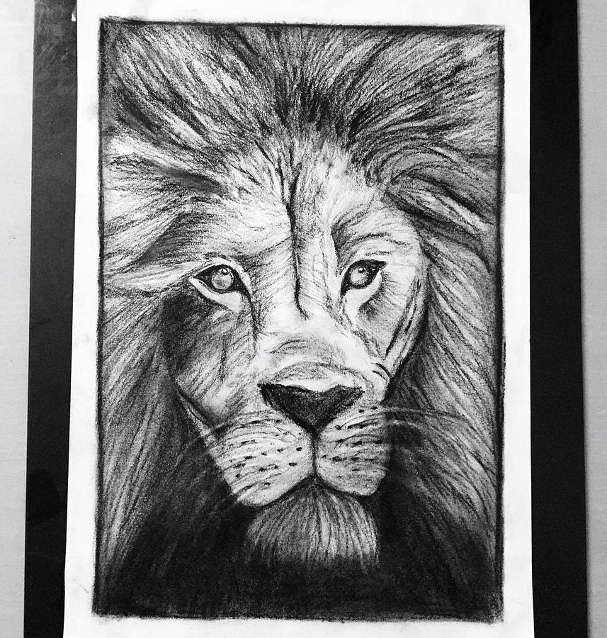 Lion Drawing by Aditri Paweria - Pixels