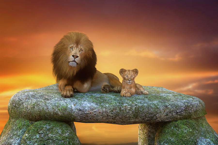 Lion and Cub at Sunset Mixed Media by Ian Good
