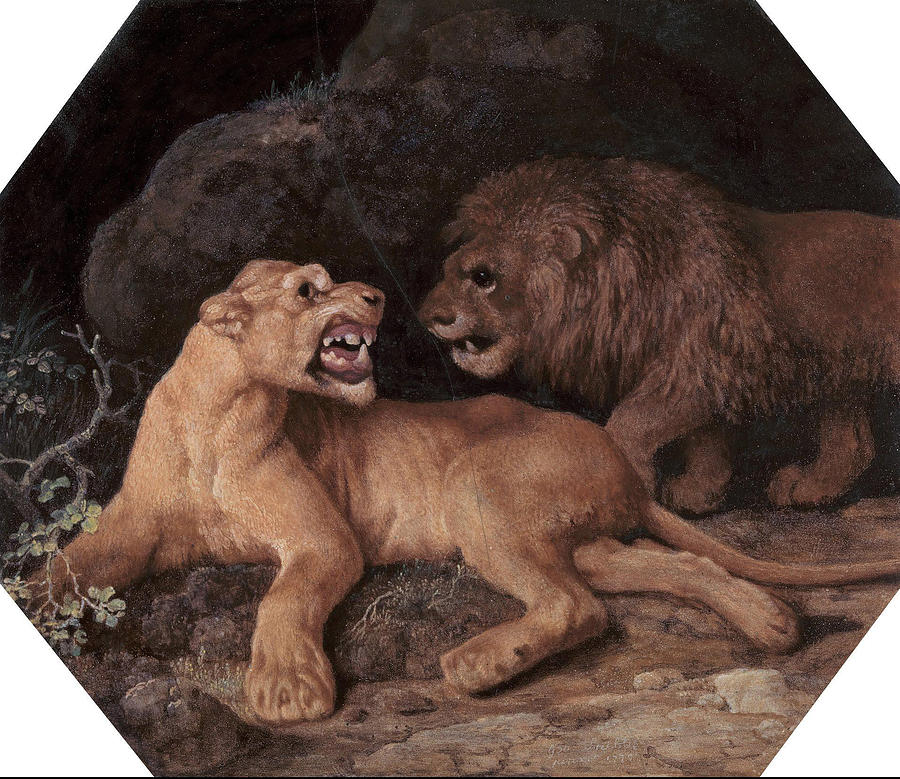 George Stubbs Painting - Lion and Lioness  by George Stubbs