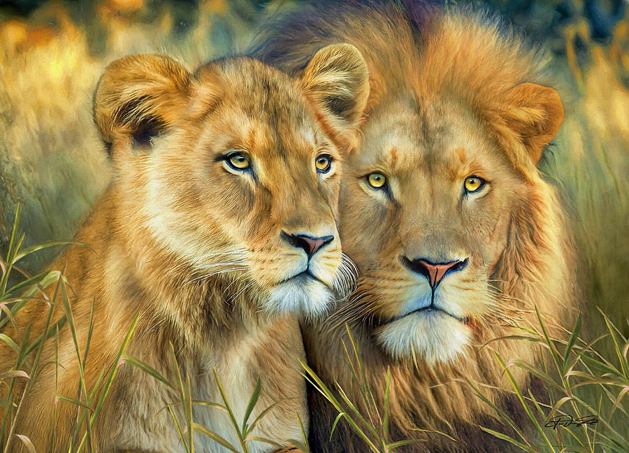 Lion And Lioness Painting by Jurgen Doelle - Fine Art America