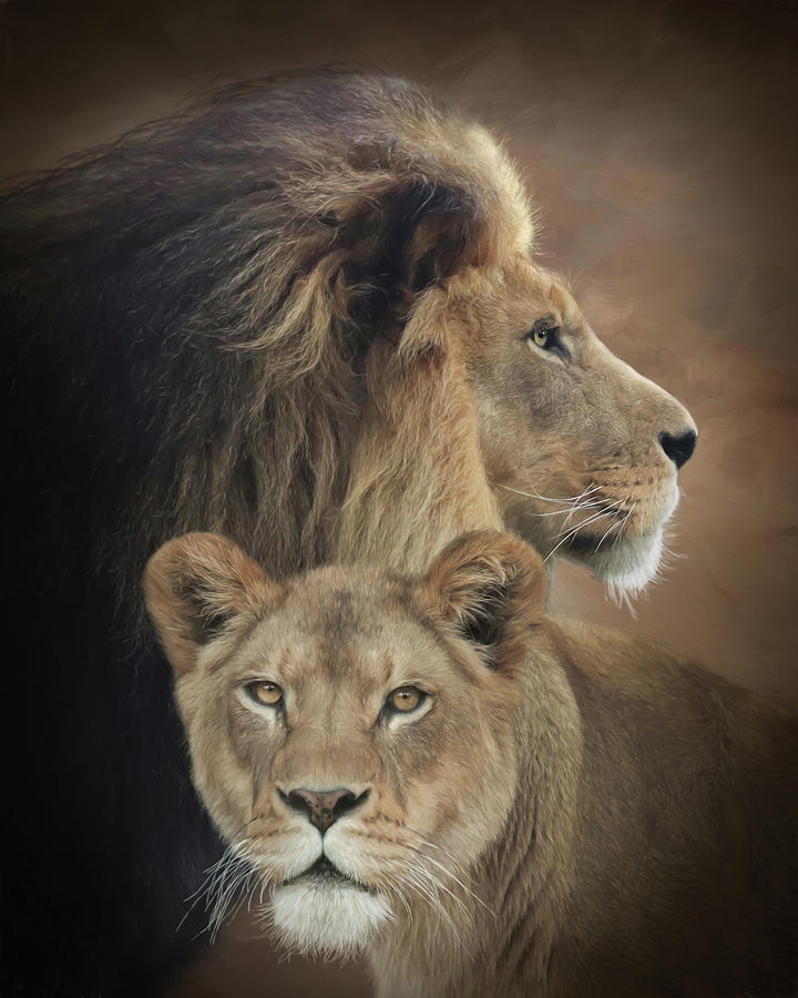 Lion and Lioness Mixed Media by Lori Deiter