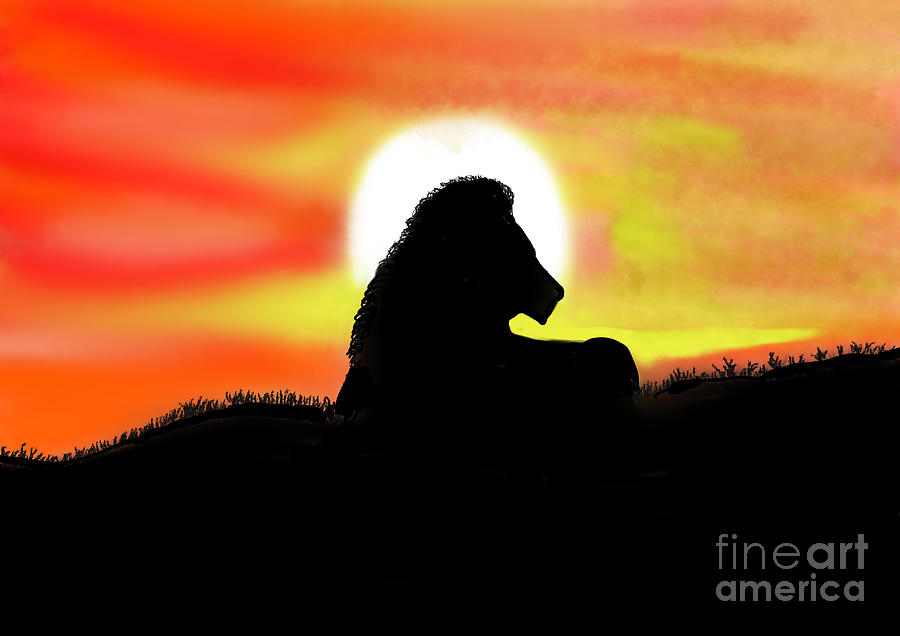 Lion and sunset  Digital Art by Elaine Rose Hayward