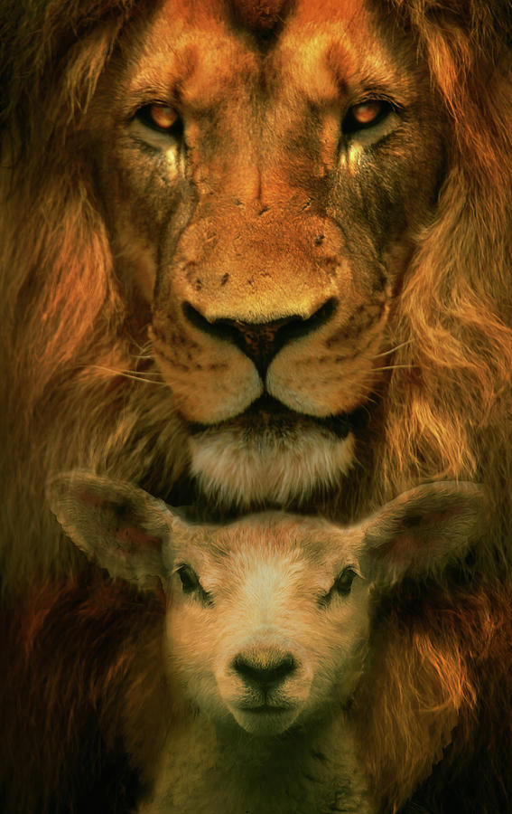 Lion and the Lamb Digital Art by Claudia McKinney