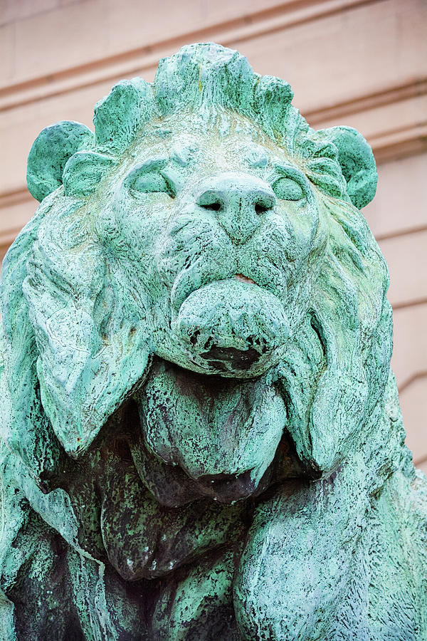 Lion Art Institute of Chicago Photograph by Kyle Hanson
