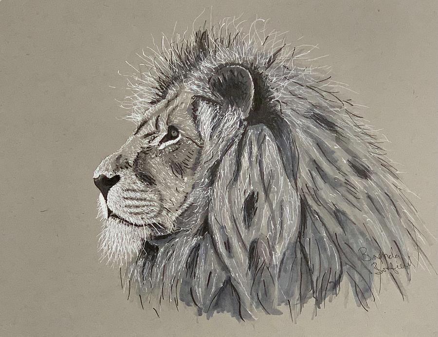 Lion Drawing by Brenda Bonfield