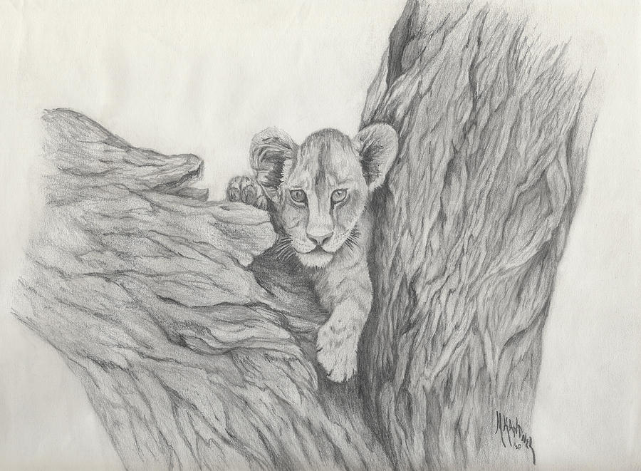 Lion Cub in Tree Drawing by Melodie Kantner