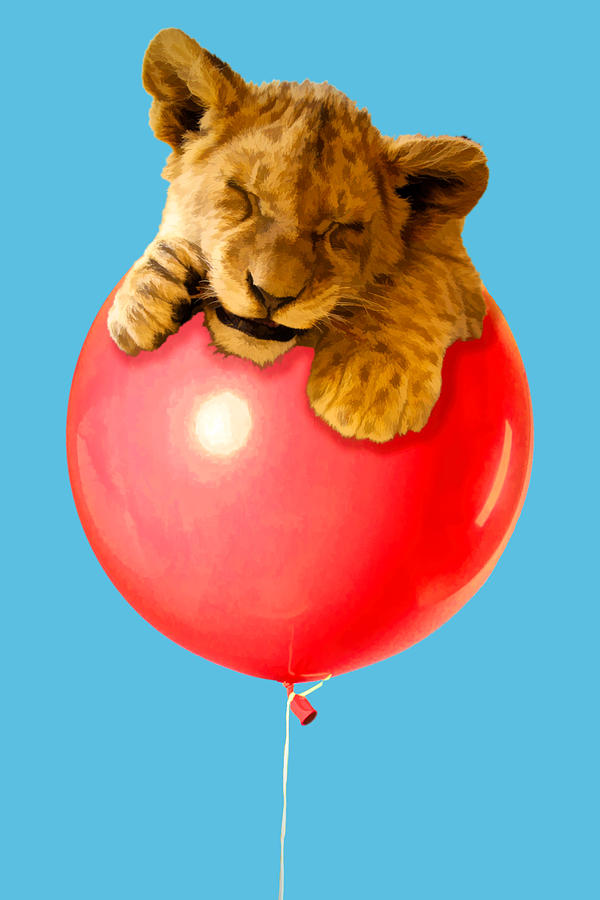 Lion Cub on a Red Balloon Photograph by John Haldane