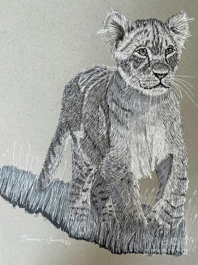 Lion Cub Drawing by Thomas Janos