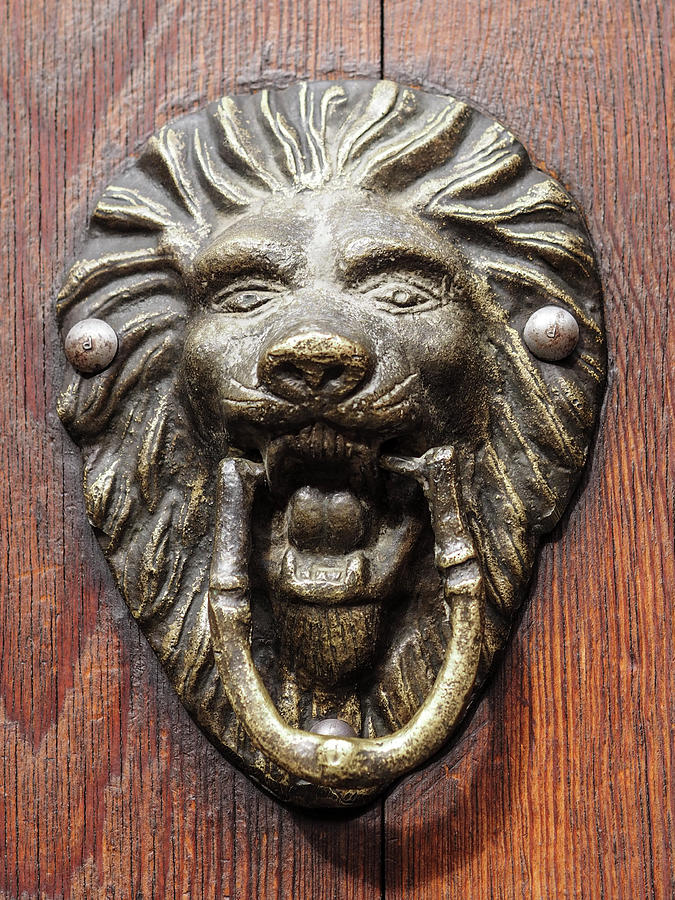 Lion Door Knocker in San Miguel De Allende Photograph by Rebecca Dru