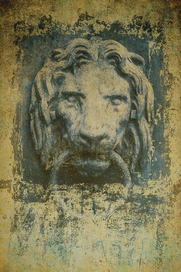 Lion Door Knocker Digital Art by Irene Moriarty