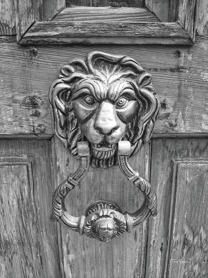 Lion Door Knocker Photograph by Tony Baca