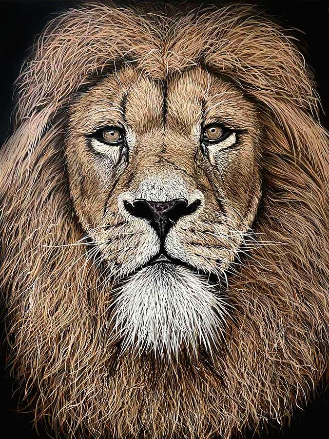 Lion Painting by Elena Dmitrenko - Fine Art America