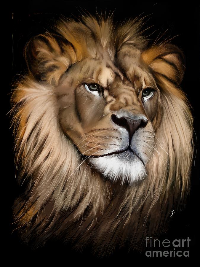 Lion face study Digital Art by Darren Cannell