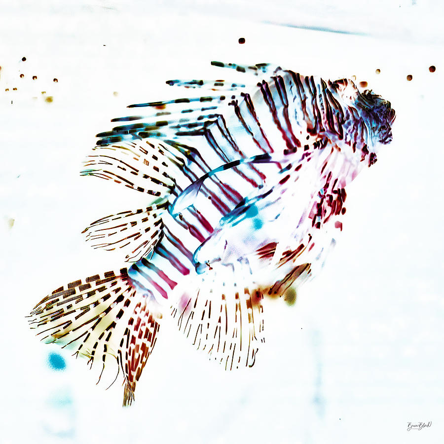 Lionfish  Photograph by Bruce Block