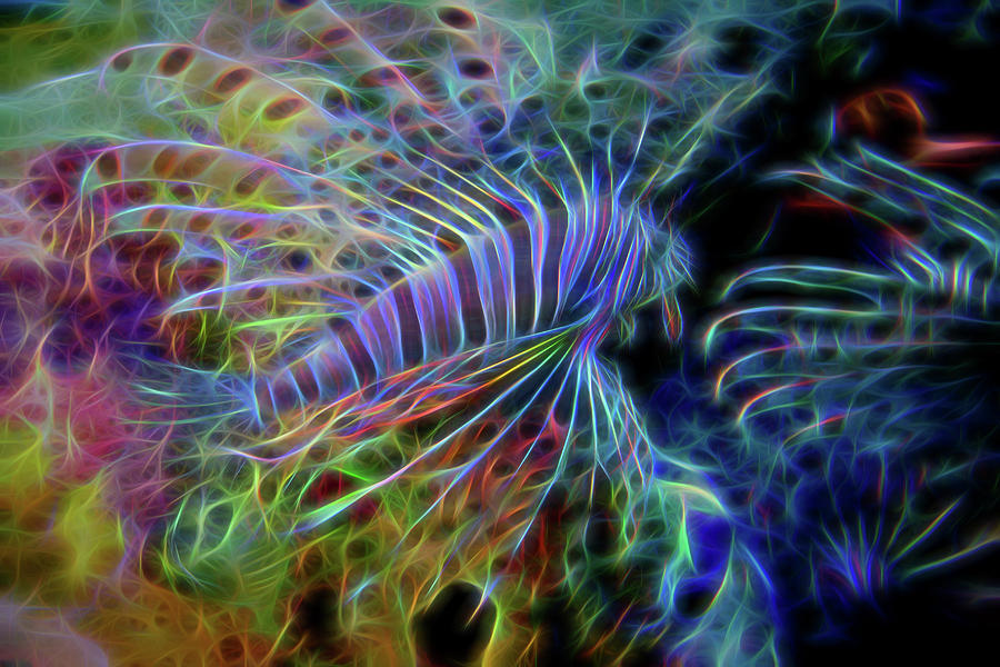 Lion Fish Digital Art by Bur Filson - Fine Art America