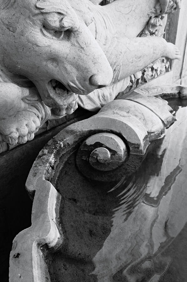 Lion Fountain at Palacio de Estoi Photograph by Angelo DeVal