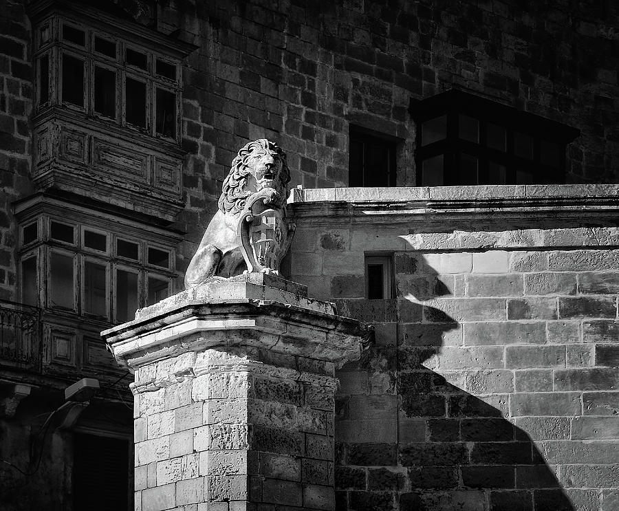 Lion guarding Valletta - Black and white photo Photograph by Stephan Grixti